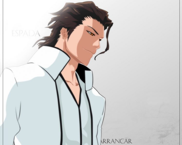 Bleach, Sousuke Aizen, Anime HD Wallpaper Desktop Background