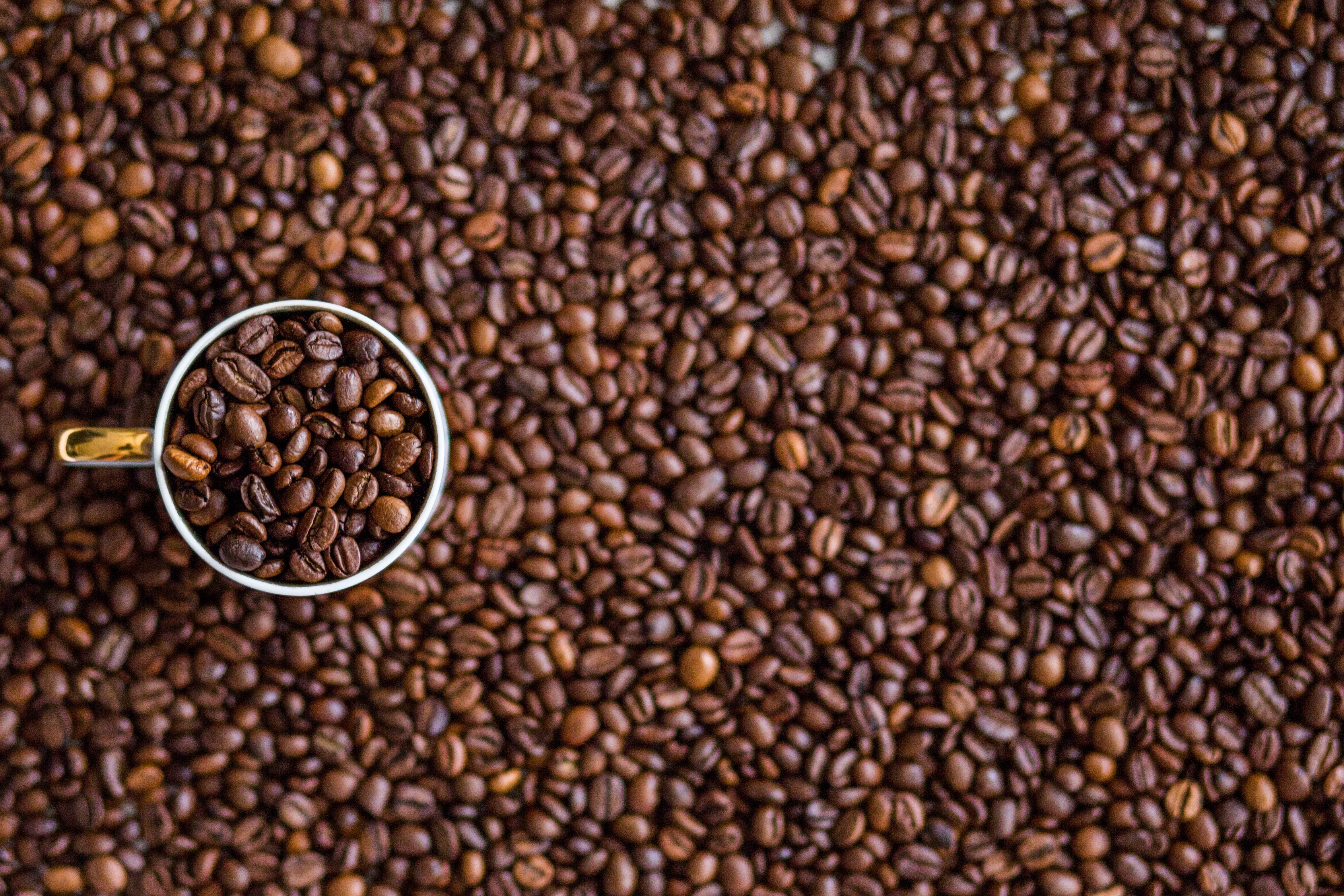 coffee beans, Mugs Wallpaper
