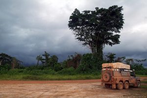 Africa, Jeep, Wilderness