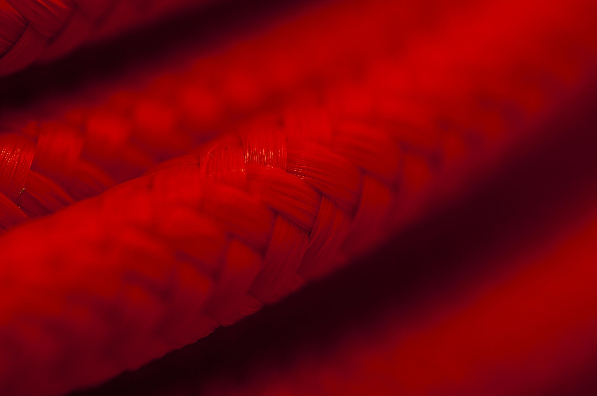 photography, Red, Macro, Depth of field, Cords Wallpaper