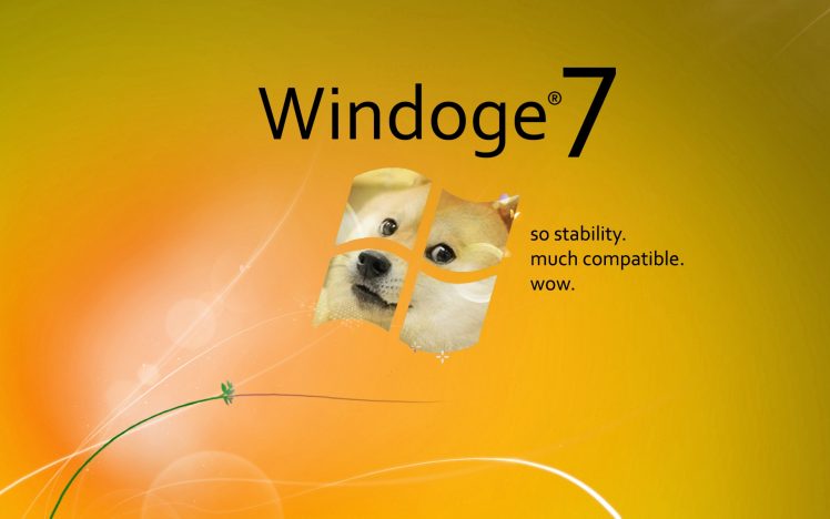 doge, Memes, Shiba Inu, Windows 7, Microsoft Windows HD Wallpaper Desktop Background