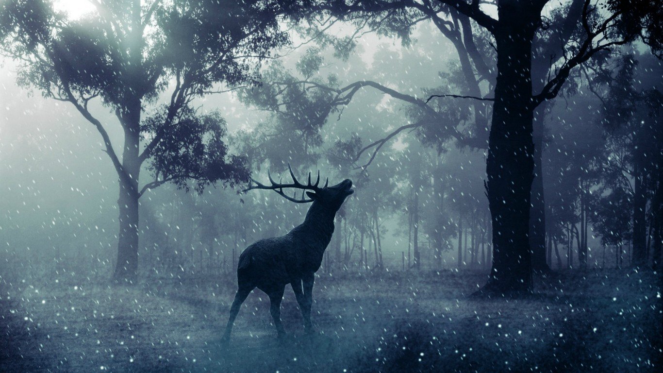 stags Wallpaper