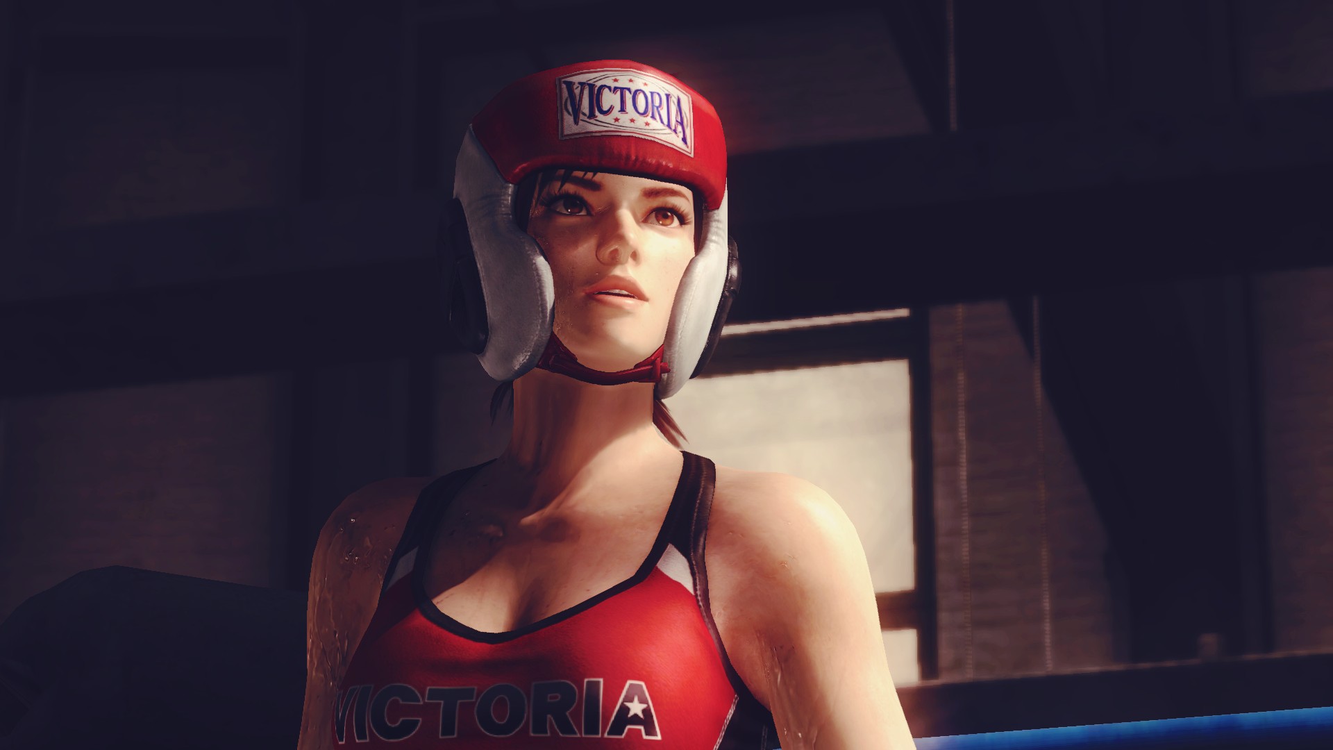 Dead or Alive 5 Wallpaper