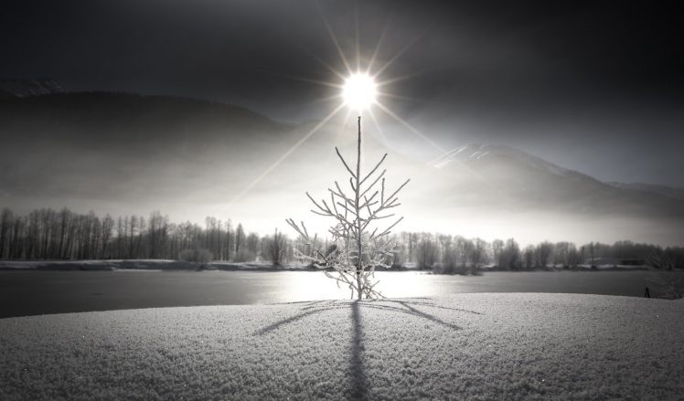 photography, Ice, Sun, Spruce, Mist, Mountains HD Wallpaper Desktop Background