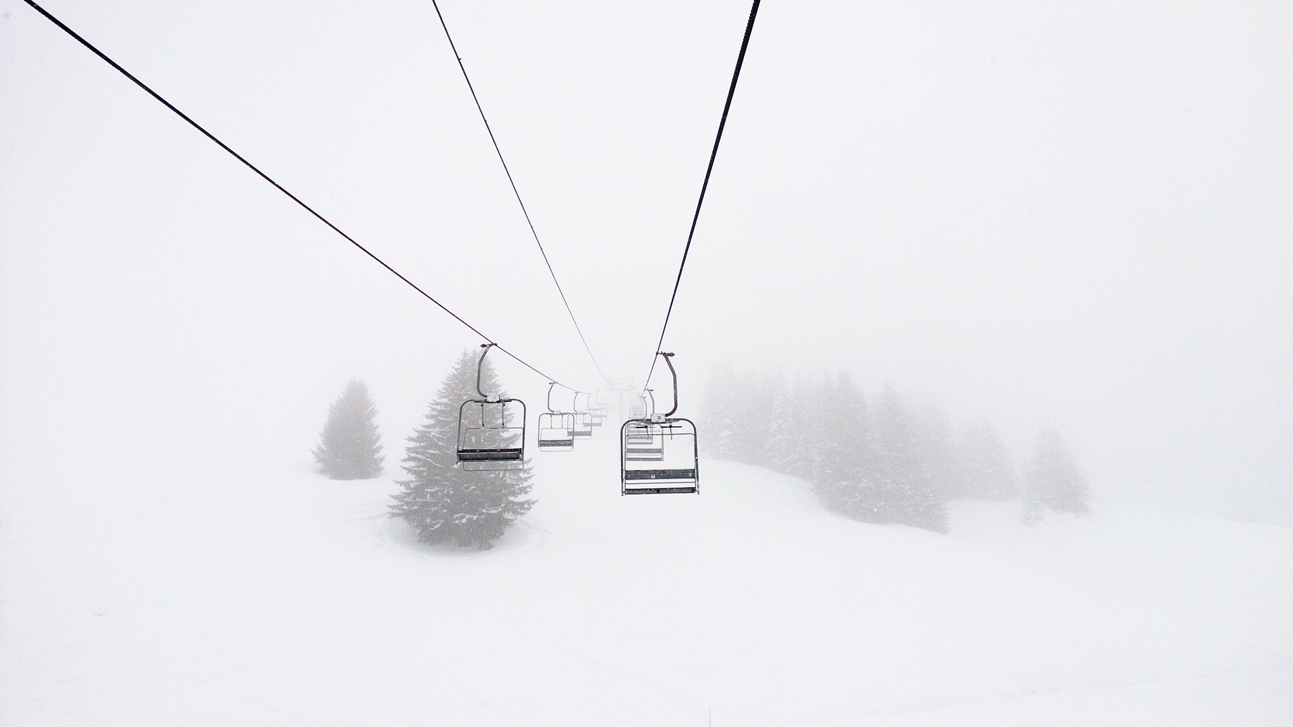 snow, Ski lifts, Pine trees Wallpaper