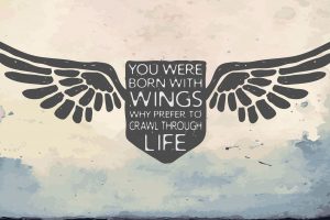 quote, Typography, Wings