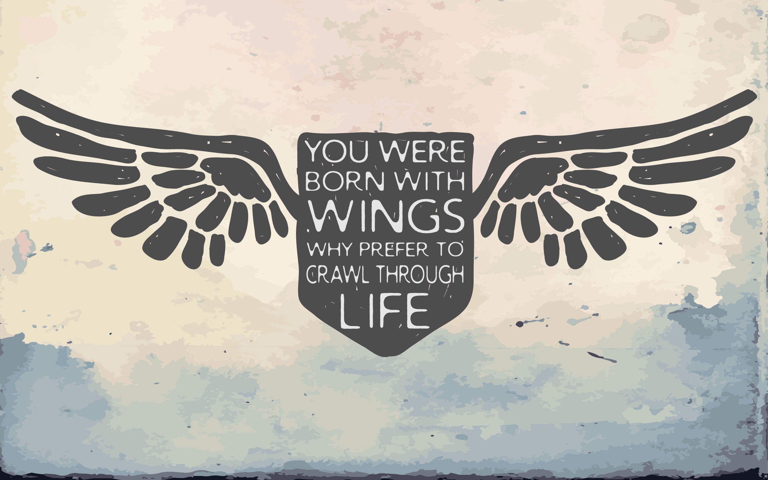 quote, Typography, Wings Wallpaper
