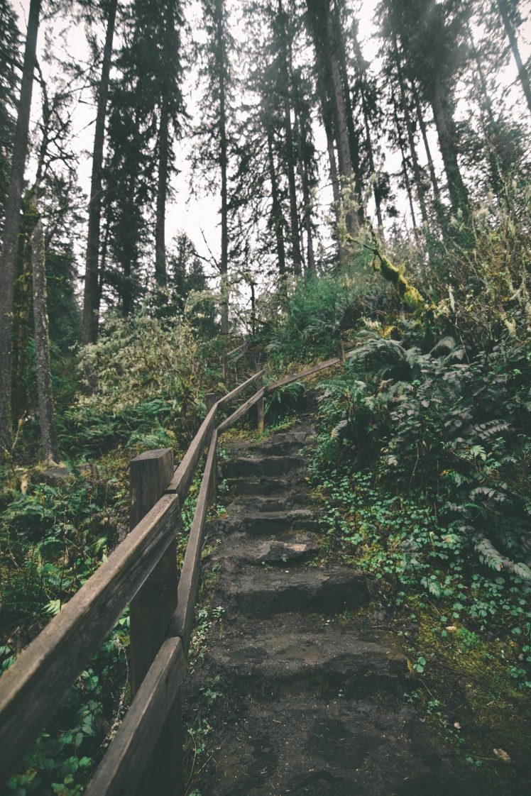 steps, Fence, Trees, Bushes, Oregon HD Wallpaper Desktop Background