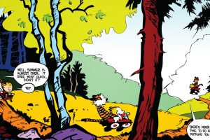 Calvin and Hobbes, Philosophy, Colorful