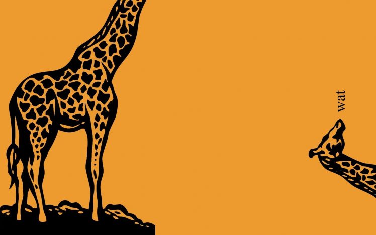 minimalism, Giraffes HD Wallpaper Desktop Background