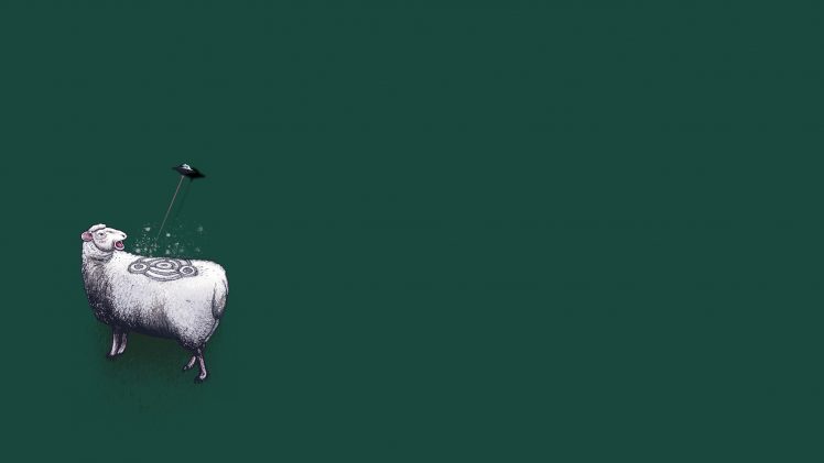 minimalism, Sheep, UFO, Humor HD Wallpaper Desktop Background