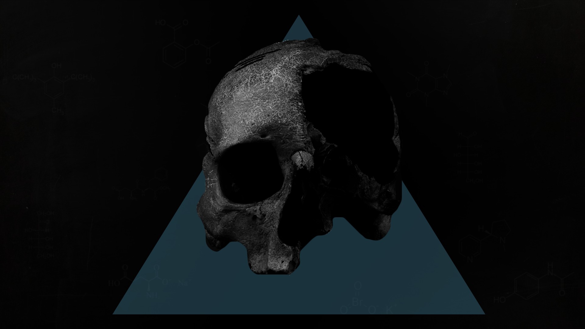 skull, Minimalism Wallpaper