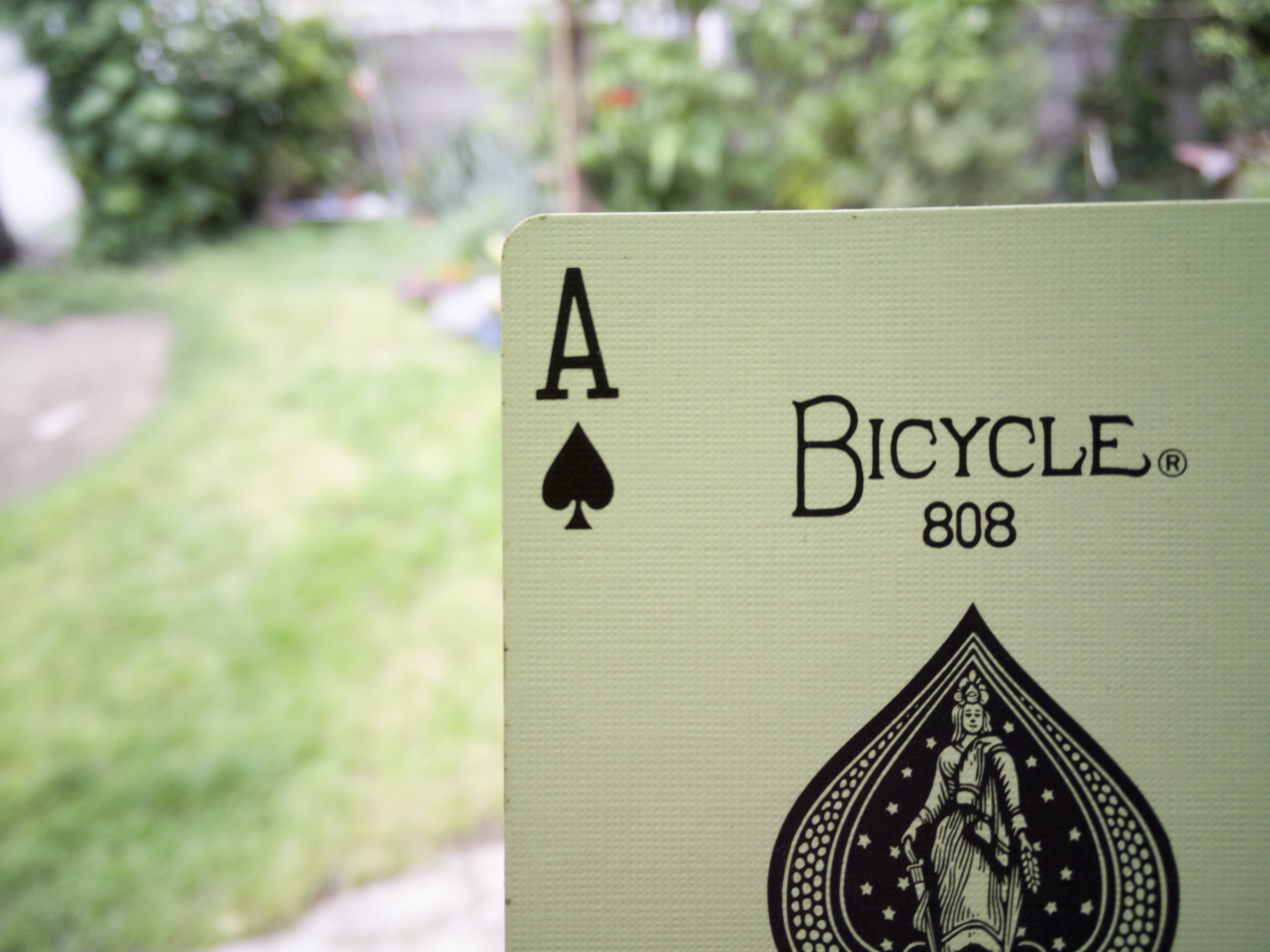 cards, Bicycle cards, Aces, Ace of Spades, Poker Wallpaper