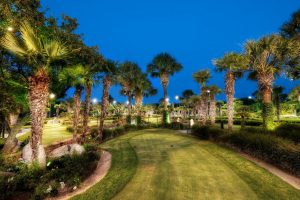 palm trees, Golf, Garden