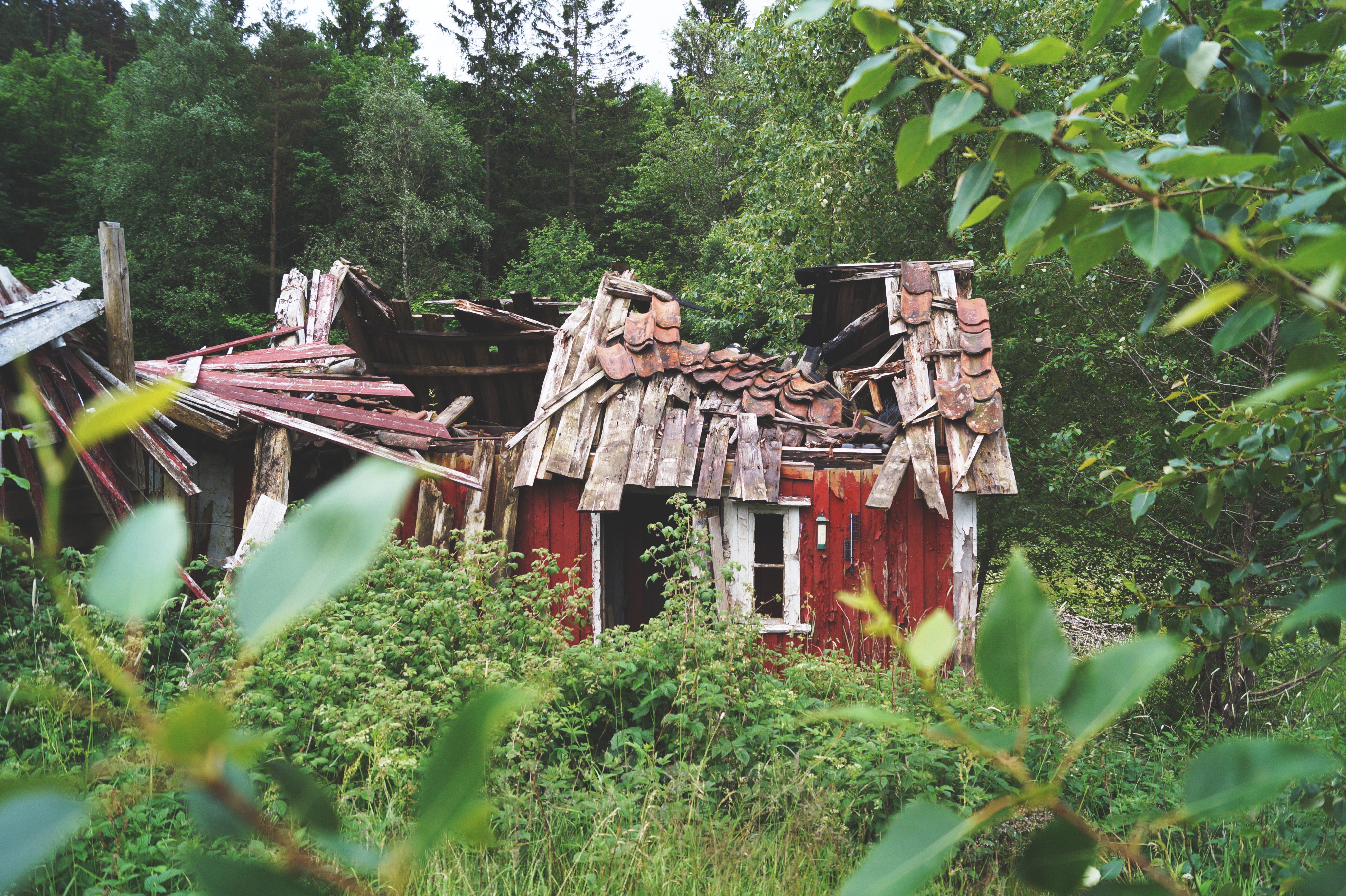 broken, Blurred, Urban exploration, Decay, Wood, Hut, Ruin Wallpaper