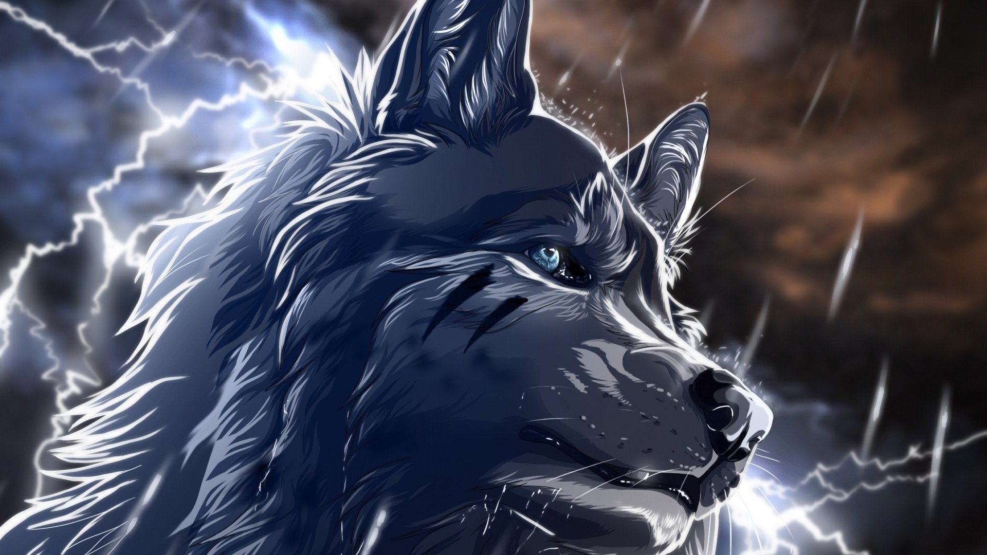 wolf Wallpaper