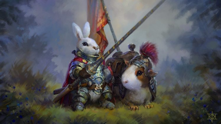 knight, Rabbits, Guinea pigs HD Wallpaper Desktop Background