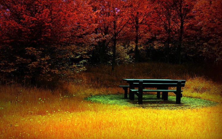 fall, Trees, Bench, Colorful HD Wallpaper Desktop Background