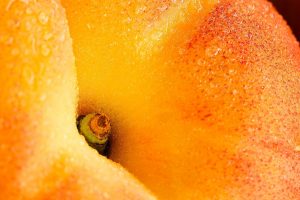 fruit, Closeup