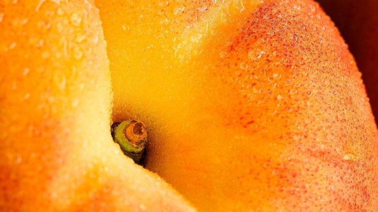 fruit, Closeup HD Wallpaper Desktop Background