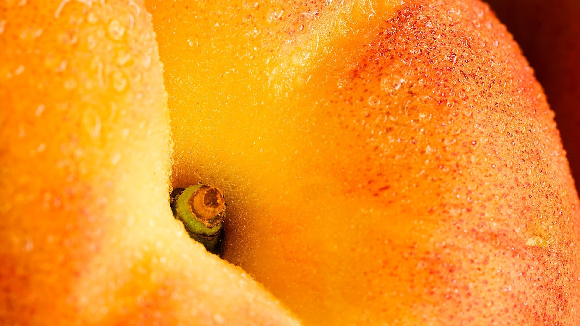 fruit, Closeup Wallpaper