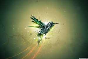 colibri (bird), Desktopography