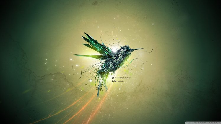 colibri (bird), Desktopography HD Wallpaper Desktop Background