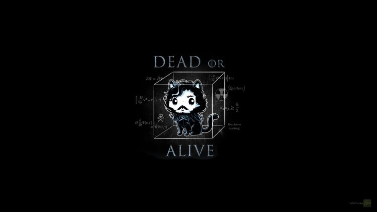 Jon Snow, Cat, Game of Thrones HD Wallpaper Desktop Background