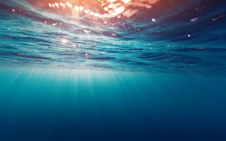underwater, Water, Sun rays HD Wallpaper Desktop Background