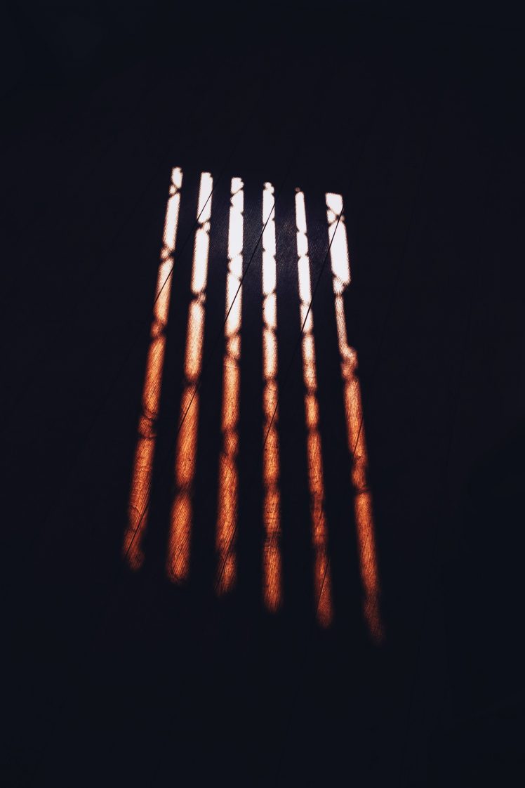 sun rays, Wood HD Wallpaper Desktop Background