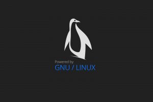 Linux, GNU, GNU   Linux, Minimalism