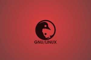 Linux, GNU, GNU   Linux, Minimalism