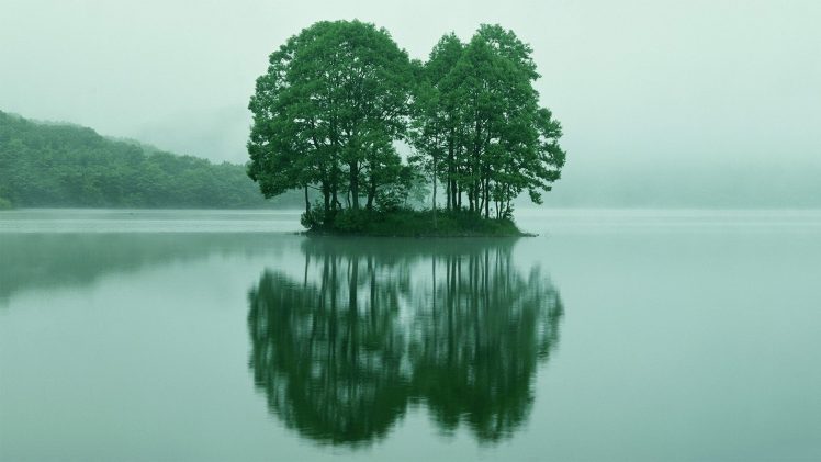 lake, Trees HD Wallpaper Desktop Background