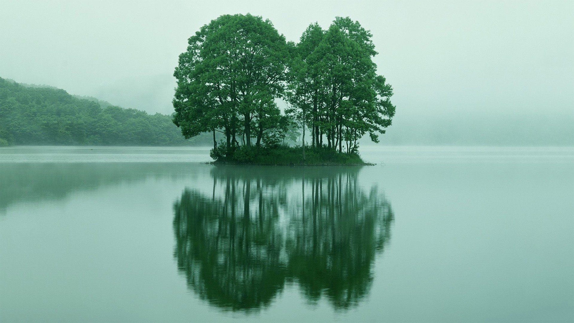 lake, Trees Wallpaper