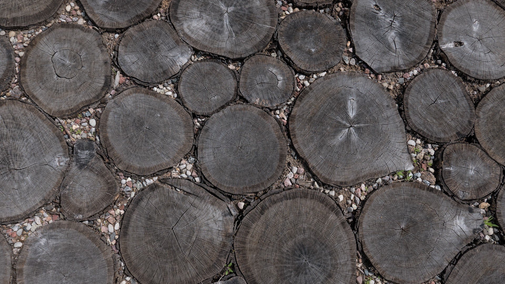 oak, Ground, Pebbles, Wood, Pathway Wallpaper