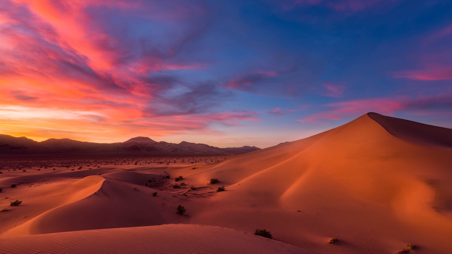 Desert 1600x1200 Wallpaper Desert 1600x1200 Wallpaper