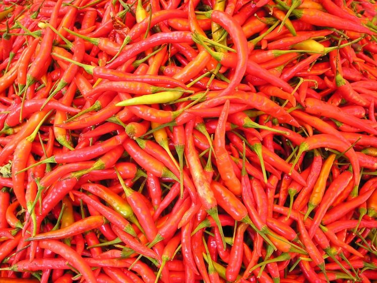 food, Chilli peppers, Capsicum HD Wallpaper Desktop Background