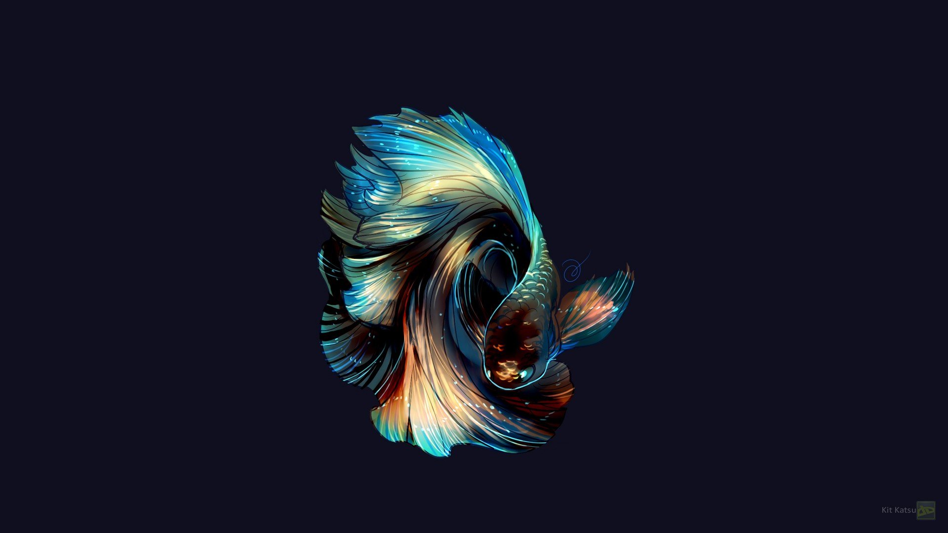 fish, Photo manipulation Wallpaper