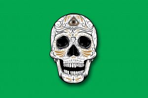 skull, Green background, Simple background