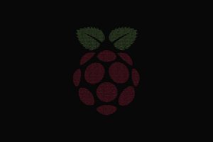 coding, Minimalism, Minified, Fruit, Binary, Raspberry Pi