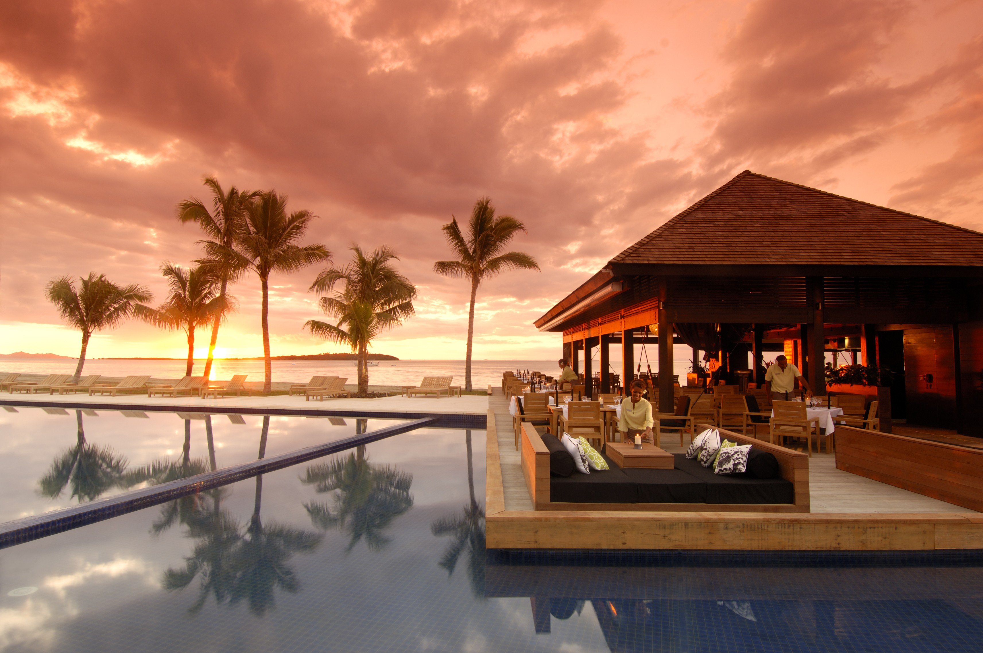 palm trees, Swimming pool Wallpaper