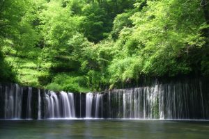 waterfall, Trees