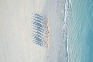 Todd Kennedy, Drone, Camels, Australia