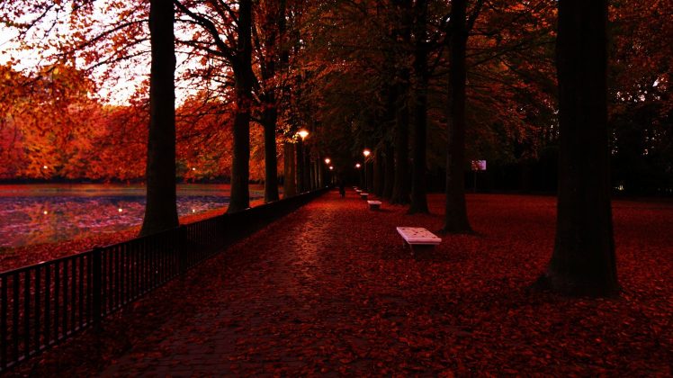 photography, Trees, Fall, Fence, Bench, Lights, Red leaves HD Wallpaper Desktop Background
