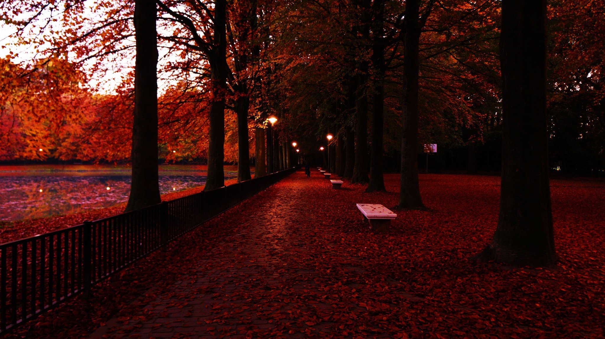 photography, Trees, Fall, Fence, Bench, Lights, Red leaves