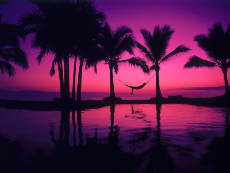 relaxation, Palm trees, Relaxing, Hammocks HD Wallpaper Desktop Background