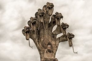 Buddha, Angry, Photography, Architecture, Snake, India, Statue