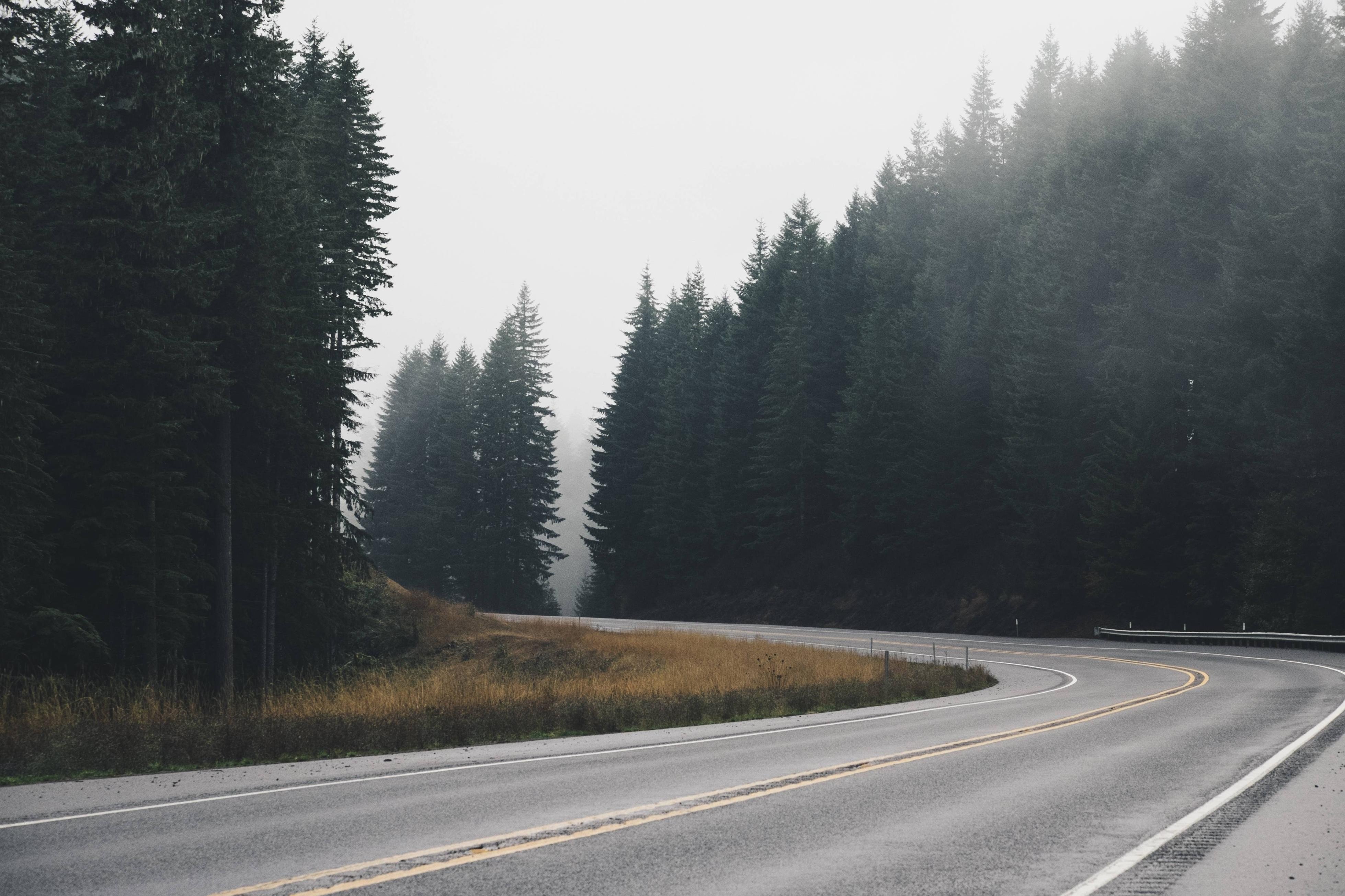 road Wallpaper