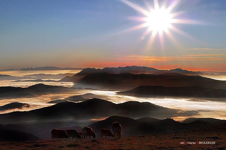 mountains, Sun, Mist HD Wallpaper Desktop Background