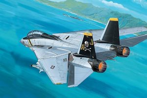 painting, Aircraft, Grumman F 14 Tomcat